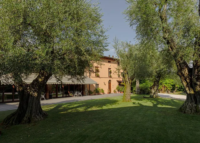 Agriturismo Ripa Del Bosco