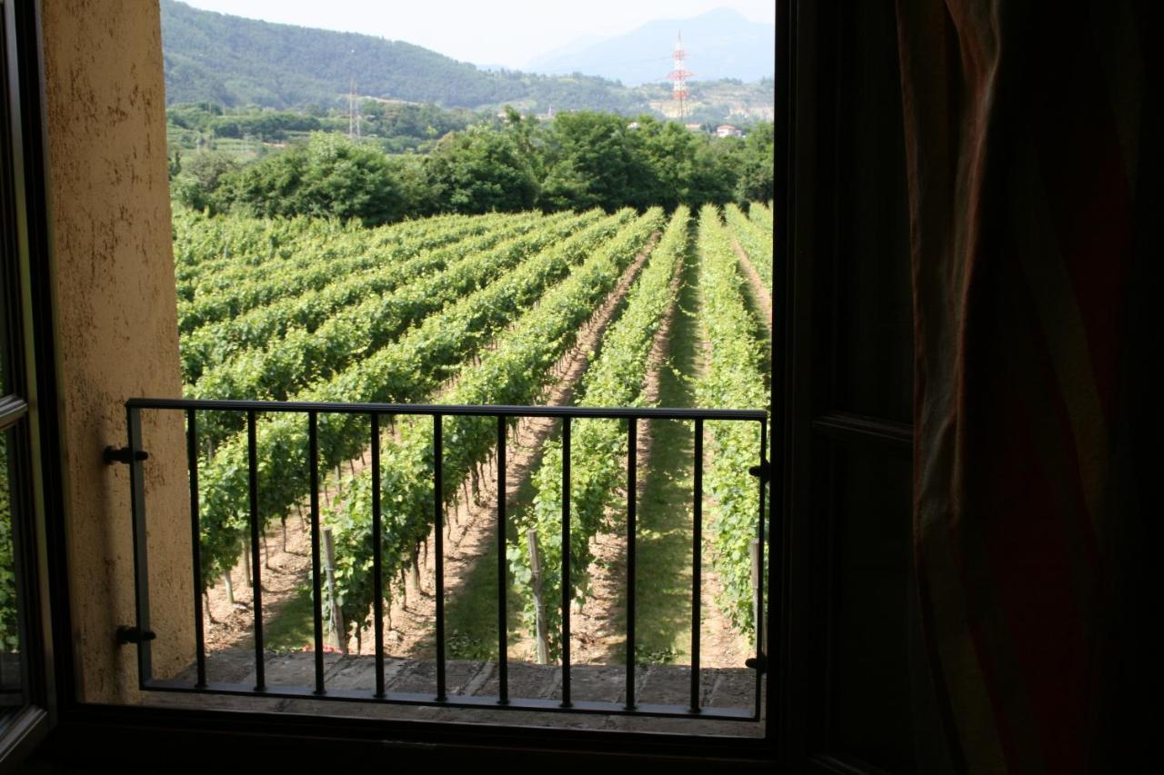 Ripa Del Bosco Capriolo