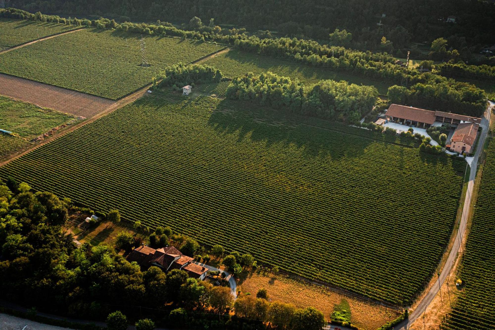 Agroturismo Ripa Del Bosco Capriolo